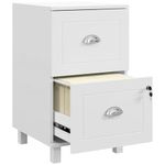 HOMCOM 2 Drawer File Cabinet, Lockable Filing Cabinet with Adjustable Hanging Bars for A4 and Letter for Home Office, White