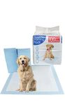 Bargain Factory - Pet Potty Training Pads for Dogs Puppy Pads - 5 Layers Super-Absorbent Waterproof - 56 x 56 cm - Disposable Puppy Pee Pads (Pack of100)