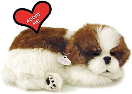 Plenty Gifts- Perfect Petzzz Soft Shih Tzu, 96293, Universel, Taille Unique