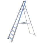 10 Step Industrial Platform Step Ladder/Ladders