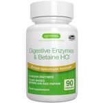 Advanced Digestive Enzymes with Betaine HCl & Plant Based Bromelain, 10 Vegan Enzymes Including Papain & Lipase, Betaine Hydrochloride, Clean Label Supplement, 90 Capsules, by Igennus