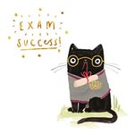 Hallmark Exam Success Congratulations Card - Cute Illustrated Cat Design