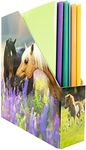 HERMA 19718 Magazine File A4 with Horse Motif, 7.5 cm Wide, Foldable, Sturdy Cardboard, Slim Magazine Holder for Girls and Boys, Standing Folder for Storing Documents, Documents, Folders