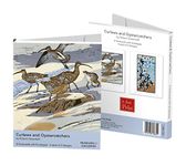 Museums & Galleries NCW318851 Curlews & Oystercatchers Wallet Notes, Paper