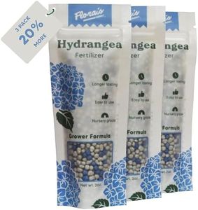 Hydrangea 