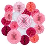 koboome Party Hanging Paper Fan Set, Round Paper Fans Set Tissue Paper Pom Poms Flowers for Birthday Party Wedding Event Festival Decorations (Pink)