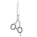 Jaguar Smart 5.5 Inch Alloy Steel Scissor, Silver