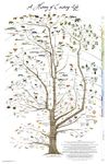 Tree of Life Poster Print - Science Poster Natural History of Existing Life-24" x 36" Laminated