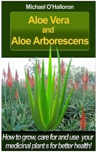 Aloe Vera 