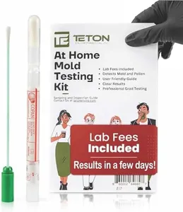 Mold Test 