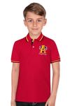 Allen Solly Junior Boy's Polo (ABKPCRGFH24783_Red), 3 | 2-3 years