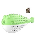 Emily Pets Playing Feeding Toy with Bell for Kitten Kitty Cats Teeth Cleaning, Puffer Fish Shape pet Toy, Cat Toothbrush Catnip Toy, Cat Interactive Toys (Green)