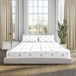 Sleepsia Lounge 100% Cotton | Jaipuri Floral Motifs Premium Queen Size Bedsheet for Double Bed – Soft & Breathable 180 TC Bed Sheet for Bedroom Wrinkle-Resistant Skin-Friendly