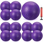 Sumind 12 Pcs 10 Inch Playground Ball Inflatable Kickballs Bouncy Dodgeball for Kids and Adults,Handball with Air Pump and 2 Mesh Drawstring Bags for Ball Games, Gym, Outdoor, School (Purple)
