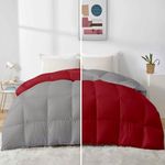 Razzai Quilt Single Bed 500 GSM Winter Comforter Premium Collection Quilted Revesible Comforter (60" x 90" Inches/152cm x 228cm) - Single Bed Comforter|Silver/Burgundy | Microfibre, Lightweight