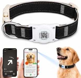 AirTag Dog