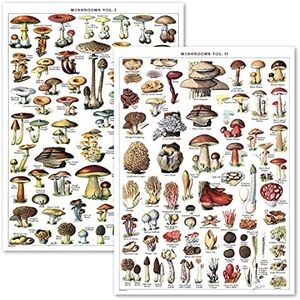 Vintage Mushroom Poster Prints - Mycology & Fungi Botanical Identification Reference Chart Volume 1 & 2 (LAMINATED, 18" x 24")