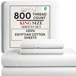 100% Egypt