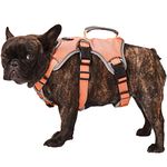 Escape Approved Dog Harness, Full Body Reflective with Lift Handle, Adjustable No Pull Vest with Soft Breathable Padded and Leash Clip for Medium and Large Dogs Walking Hiking Training Orange (XLarge)