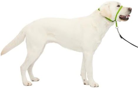 PetSafe Ge