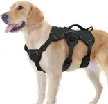 rabbitgoo Escape Proof Dog Harness,