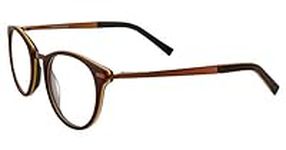 Eyeglasses Converse Q 310 Brown