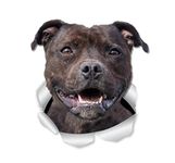 OGJFLT Car Stickers For Dog Funny 2Pcs 22 Cm Selfadhesive Decal Happy Staffie Dog Breed Car Sticker Waterproof Auto Decors On Bumper Rear Window Laptop