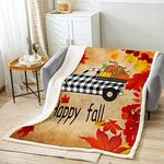 Erosebridal Cartoon Car Plush Bed Blanket for Boys, Gold Leaves Autumn Throw Blanket Baby Size Pumpkin Sherpa Blanket Geometric Plaid Checkered Fleece Blanket for Kids Teens Adult Bedroom Decor