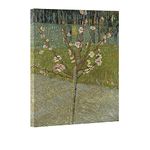 Wieco Art Almond Tree in Blossom by Van Gogh Famous Oil Paintings Reproduction Classic Canvas Prints Wall Art Abstract Flowers Pictures for Home Decor Modern Stretched and Framed Landscape Artwork