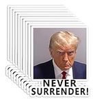 10 Pack Trump Mug Shot Funny Donald Trump Police Mugshot Photo Never Surrender Not Guilty Free Trump Stickers Laptop Bumper Decal Window Waterproof Car Stickers