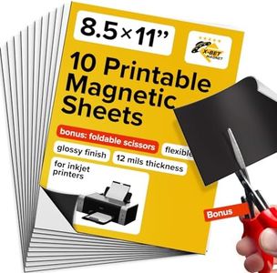 X-bet MAGN