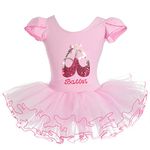 Lito Angels Pink Ballet Tutu Dress for Kids Girls, Ballerina Dance Wear Leotard with Skirt, Age 5-6 Years (Tag Number XL)