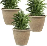 Sunnydaze Anjelica Flower Pot Plant