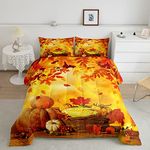 Erosebridal Halloween Comforter, Autumn Fall Leaves Down Comforter for Bedroom Living Room Decor, Pumpkin Lantern Queen Bedding Set 3 Pieces, Farmhouse Decor Duvet Set, Brown