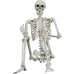 SIFOEL Halloween Posable Skeleton - 165cm Realistic Life Size Human Skeleton Bones with Movable Joints for Halloween Haunted House Decoration