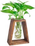 Mikiwon Plant Terrarium Desktop Glass Planter Test Tube Vase with Trapezoidal Retro Wooden Stand, Tabletop Propagation Station for Hydroponics Plants Home Office Wedding Decoration