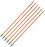 AMEYXGS 6/12pcs Archery Fiberglass Bowfishing Arrow Bow Fishing Arrows with Broadheads and Safty Slides for Compound and Bow Recurve Bow Fishing Hunting … (6 Pcs)