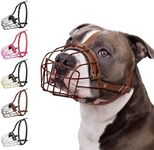 BRONZEDOG Pitbull Dog Muzzle Metal 