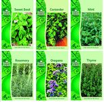 HERB COLLECTION 4- selection of 6 Fresh Herb Seeds Oregano, Coriander, Sweet Basil, Mint, Rosemary & Thyme