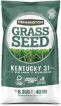 Pennington Kentucky 31 Tall Fescue 