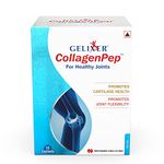 Nitta Gelatin India Limited Gelixer Collagen Pep (10 G, Vanilla) -15 Sachets,Pack of 1