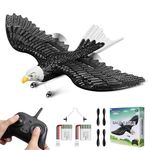 HAWK'S WORK RC Eagle, 2 CH RC Plane Ready to Fly, 2.4GHz Remote Control Airplane, Easy to Fly RC Glider for Kids & Beginners