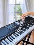 Piano Note Stickers Removable for 61-54-49-37 Key Standard Full-Size Keyboard，Piano Key Labels Reusable Silicone Strips for Beginners Kids(Colored)