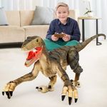 Mini Tudou Remote Control Dinosaur Toys,Electronic Walking Toys with LED Light Up&Realistic Simulation Sounds,2.4Ghz Velociraptor Robot Jurassic Toys,Best RC Dinosaur Toys for Boys Kids Age 6 7 8 9