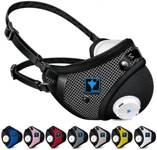 RZ Mask RZ