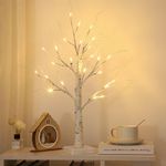 2FT Lighted Birch Tree for Tabletop, Birch Christmas Tree with Lights, Warm White 24 LEDs Birch Tree Light for Christmas Decorations Indoor Bedroom Home Wedding Holiday Thanksgiving Gifts