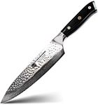 Premium 8 Inch Damascus Chef Knife, Japanese VG10 Super Steel 67 Layer High Carbon Stainless Steel Kitchen Knife with Full Tang Handle