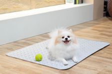 Pet Zzz 100 * 70cm Dog Cooling Pad,