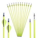 ACCMOS 29 inch Archery Arrow Spine 500 ID 6.2 mm Carbon Arrow, for Adult Youth Bow and Arrow Hunting & Target Practice Shooting (29 inch)