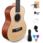Kadence Ukulele 24" Concert Size + ( Free online learning Course ) Spruce wood ukelele Super combo with with Strap, Tuner , Bag , Strings, Capo, Picks & learning course (Super Combo)